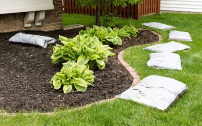 Landscaping Cost Breakdown: What Folsom Homeowners Can Expect
